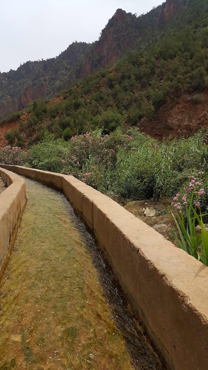 Cursos de água no Vale do Zegzel - Marrocos © Viaje Comigo