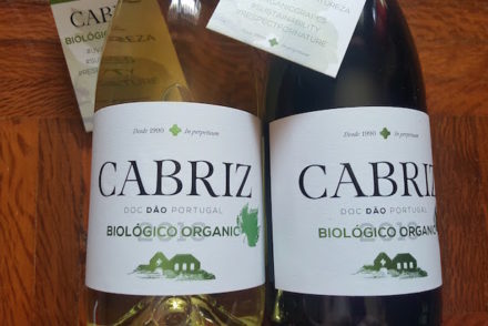 Novos vinhos da Cabriz © Viaje Comigo