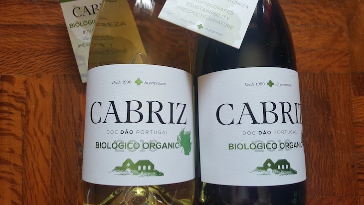Novos vinhos da Cabriz © Viaje Comigo