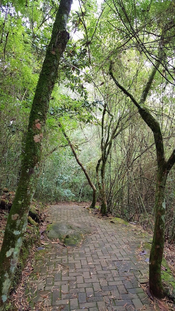 Parque do Caracol - Canela - Brasil © Viaje Comigo