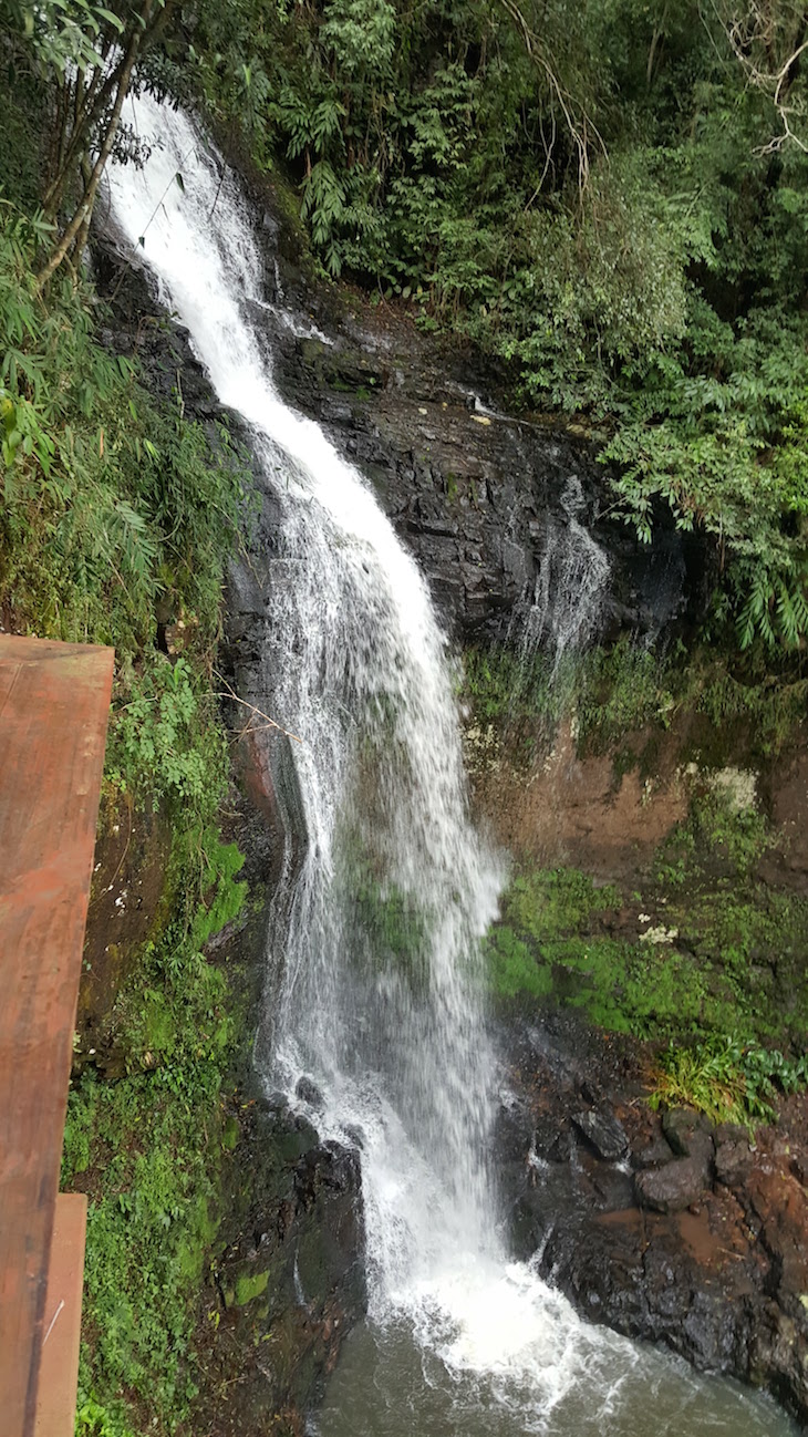 Alambique Flor do Vale, Canela, Rio Grande do Sul, Brasil