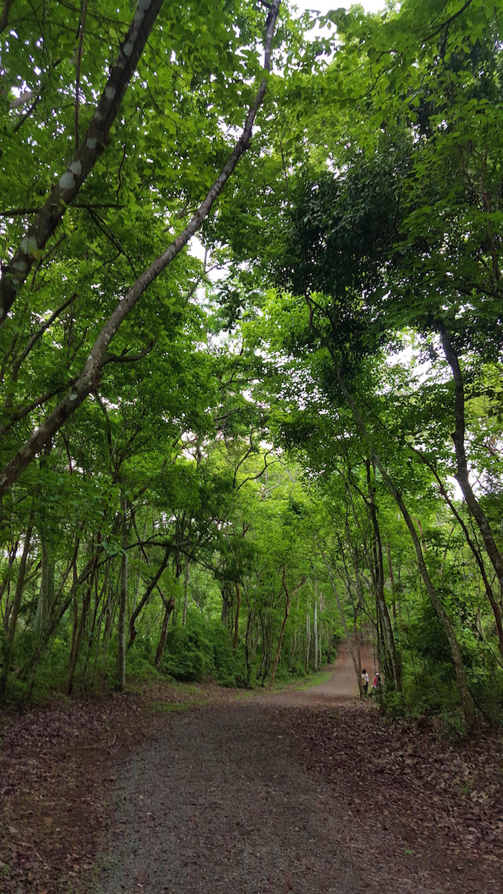 Parque Natural Metropolitano, Cidade do Panamá © Viaje Comigo