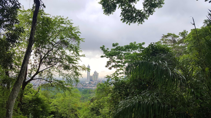 Parque Natural Metropolitano, Cidade do Panamá © Viaje Comigo