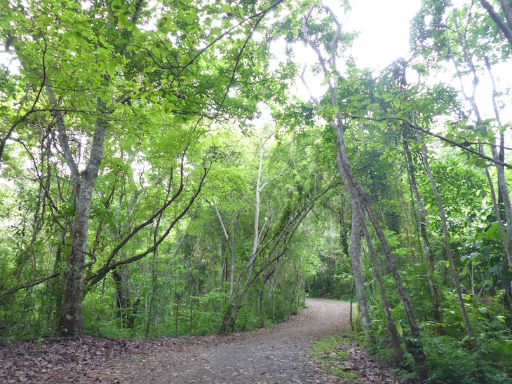 Parque Natural Metropolitano, Cidade do Panamá © Viaje Comigo