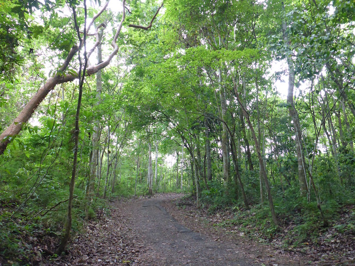 Parque Natural Metropolitano, Cidade do Panamá © Viaje Comigo