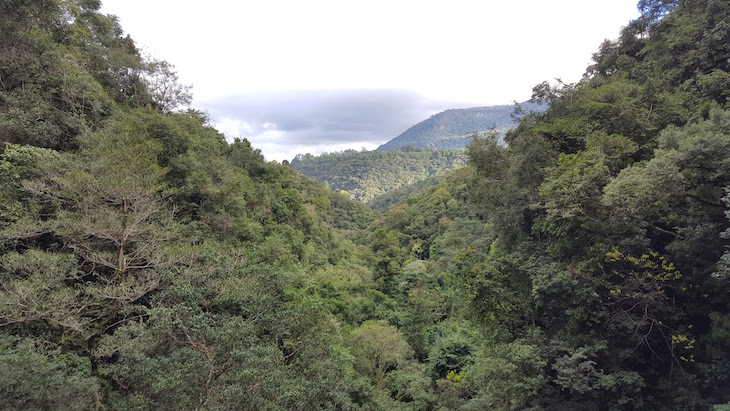 Vista do Alambique Flor do Vale, Canela, Rio Grande do Sul, Brasil