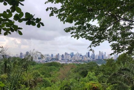 Parque Natural Metropolitano - Panamá © Viaje Comigo
