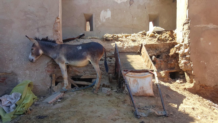 Curtumes de Marraquexe - Marrocos © Viaje Comigo