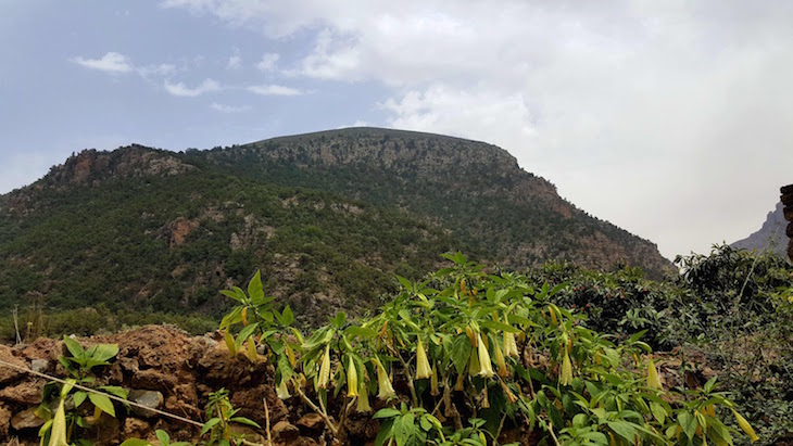 Vista da Aldeia de Zegzel- Marrocos © Viaje Comigo