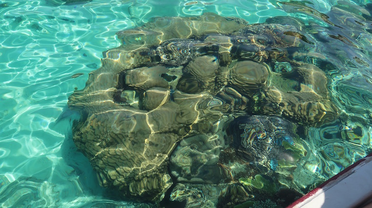 Snorkeling nas Ilhas Perhentian - Malásia © Viaje Comigo