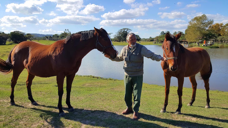 Cavalos da Cabanha Costa do Cerro - Caminhos Rurais - Porto Alegre - Brasil © Viaje Comigo