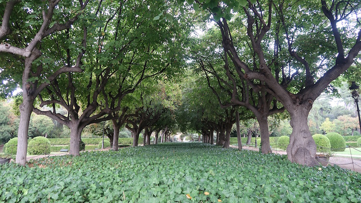 Palau Reial de Pedralbes, Barcelona © Viaje Comigo