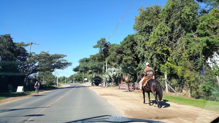 Pelos Caminhos Rurais em Porto Alegre - Brasil © Viaje Comigo