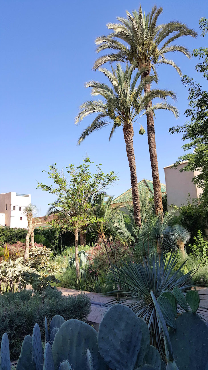 Le Jardin Secret - Marraquexe - Marrocos © Viaje Comigo