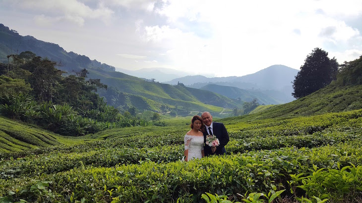 Campos de chá em Cameron Highlands - Malásia © Viaje Comigo