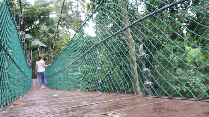 Pontes suspensas no Eko Rimba - Kuala Lumpur - Malásia © Viaje Comigo