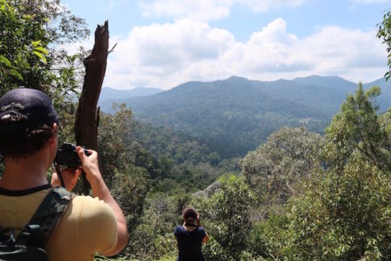 Taman Negara - Malásia © Viaje Comigo