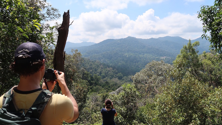 Taman Negara - Malásia © Viaje Comigo