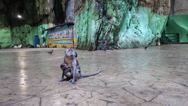 Batu Caves - Malásia © Viaje Comigo