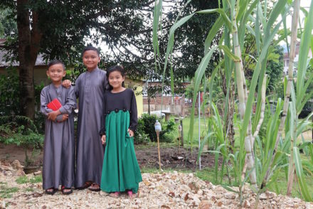 Meninos de Kuala Tahan - Malásia © Viaje Comigo