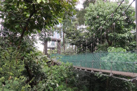 Ponte Eko Rimba- Kuala Lumpur - Malásia © Viaje Comigo