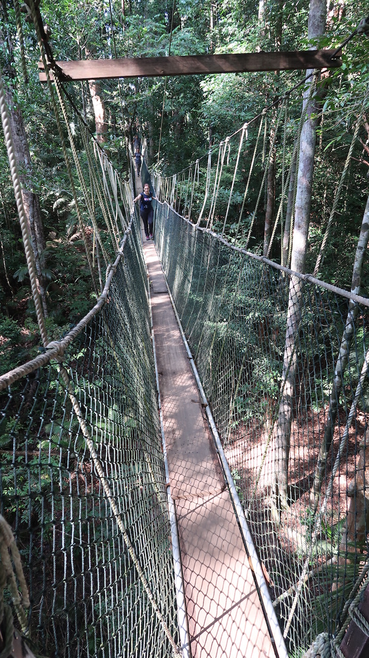 Pontes suspensas - Taman Negara, Parque Nacional Kuala Tahan, Malásia © Viaje Comigo