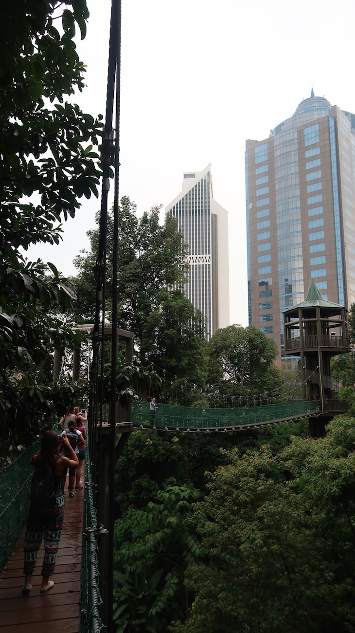 Pontes suspensas no Eko Rimba - Kuala Lumpur - Malásia © Viaje Comigo