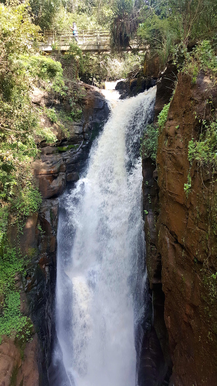 Lado Argentino: Cataratas del Iguazú, Argentina © Viaje Comigo