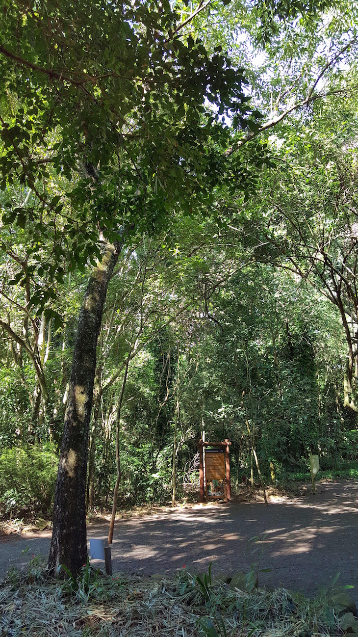 Refúgio Biológico Bela Vista, Foz do Iguaçu, Brasil © Viaje Comigo 1