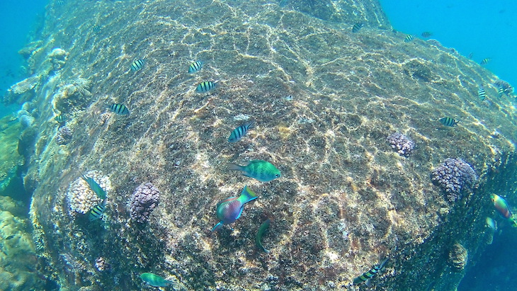 Snorkeling nas Perhentian - Malasia © Viaje Comigo