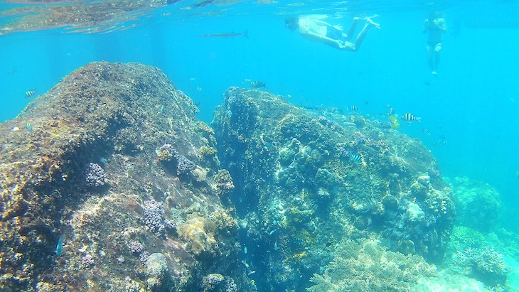 Snorkeling nas Perhentian - Malasia © Viaje Comigo