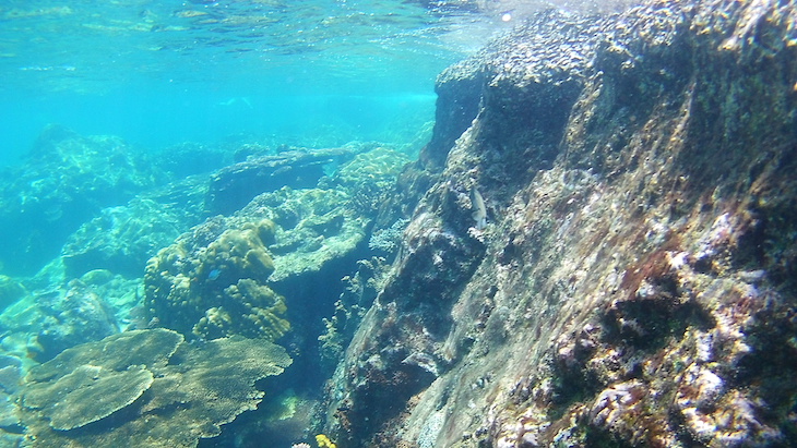 Snorkeling nas Perhentian - Malasia © Viaje Comigo