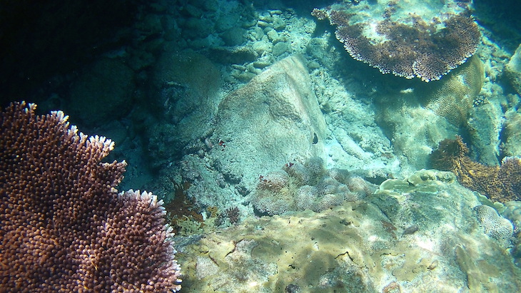 Snorkeling nas Perhentian - Malasia © Viaje Comigo