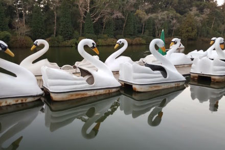 Lago Negro, Gramado, Rio Grande do Sul, Brasil © Viaje Comigo