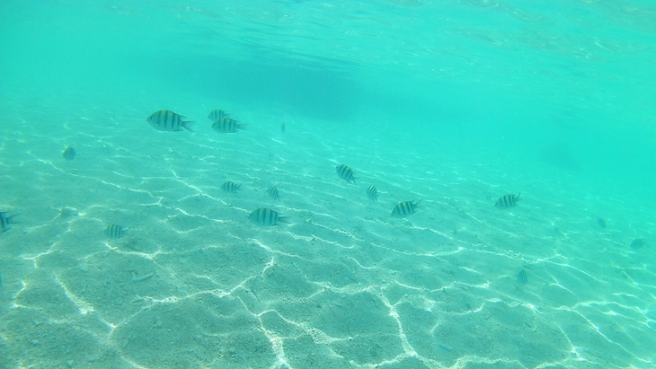 Snorkeling nas Perhentian - Malasia © Viaje Comigo