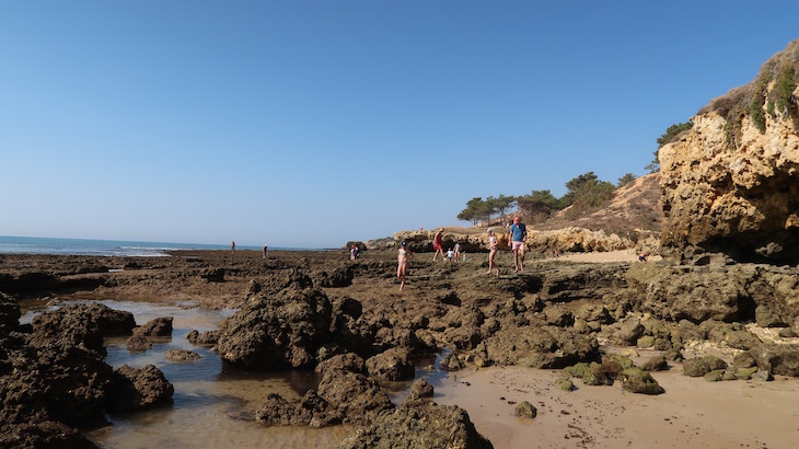 Praia Maria Luísa, Albufeira, Algarve © Viaje Comigo