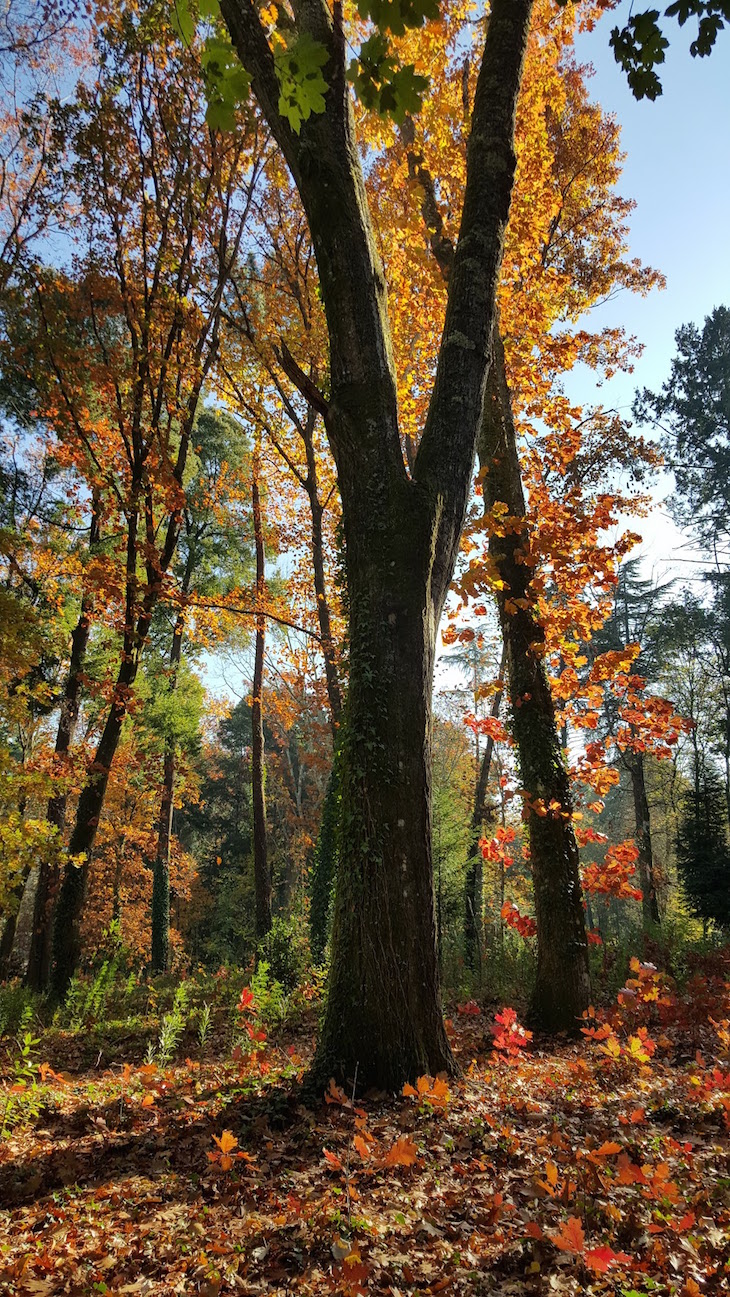 Termas de Melgaço - Portugal © Viaje Comigo