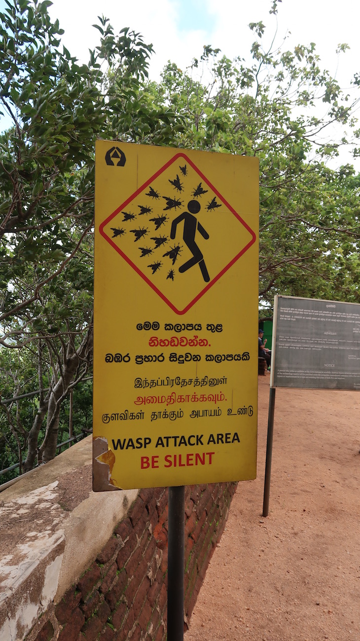 Ataque de vespas - o que fazer? - Sigiriya, Sri Lanka © Viaje Comigo