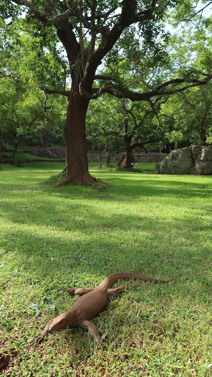 Sigiriya, Sri Lanka © Viaje Comigo