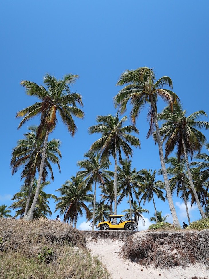 Passeio de buggy em Porto de Galinhas - Brasil © Viaje Comigo