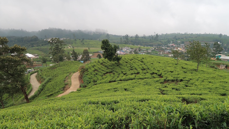 Lover's Leap, Nuwara Eliya, Sri Lanka © Viaje Comigo