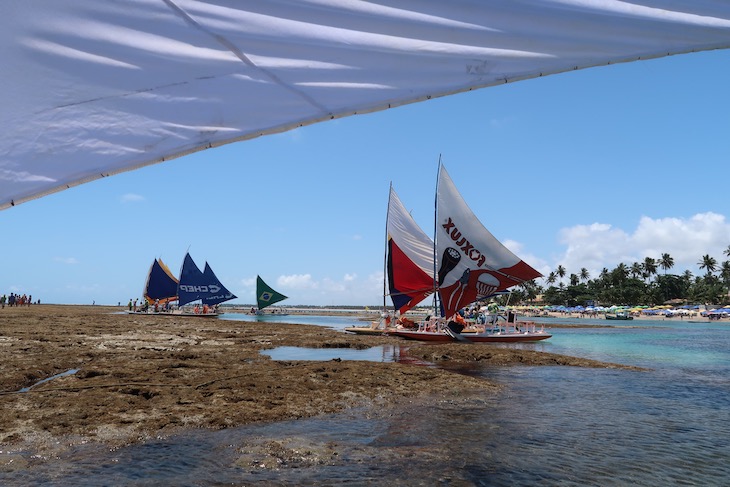 Jangadas nas Piscinas Naturais de Porto de Galinhas - Brasil © Viaje Comigo