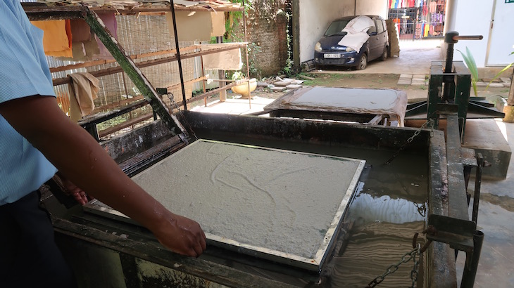 Explicação para a produção de papel a partir das fezes - Pinnawala - Sri Lanka © Viaje Comigo