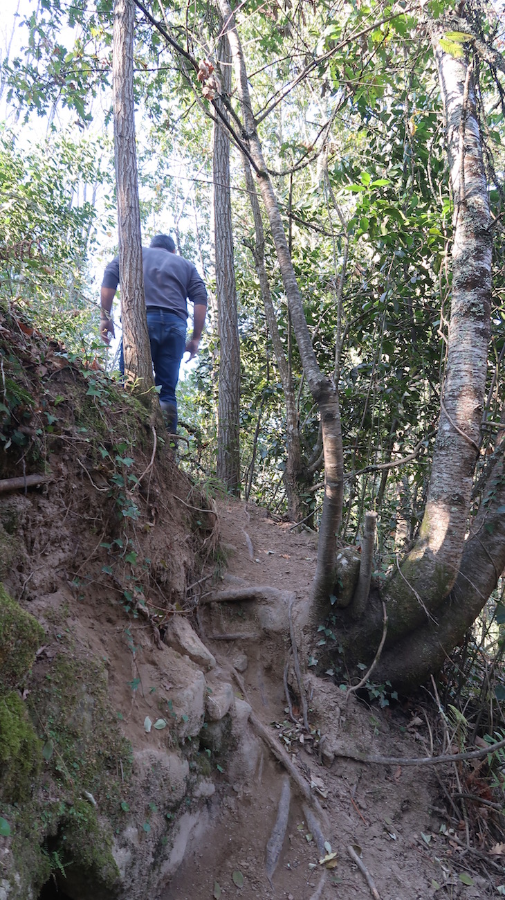 Caminhada por Cevide - Portugal © Viaje Comigo