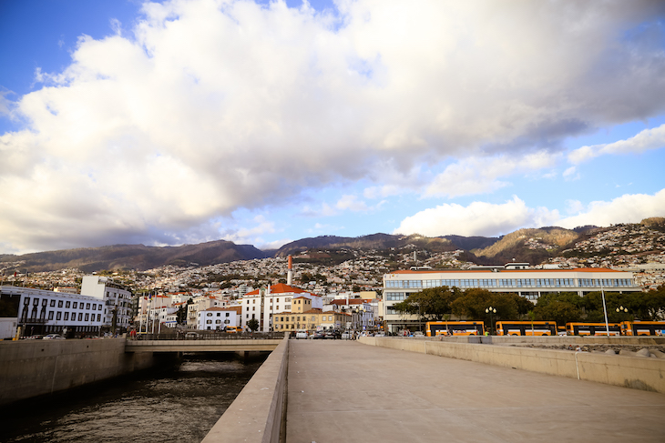 Avenida do Mar- Funchal-Madeira © Débora Pinto