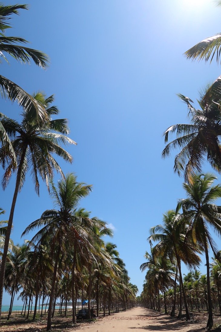 Passeio de buggy em Porto de Galinhas - Brasil © Viaje Comigo