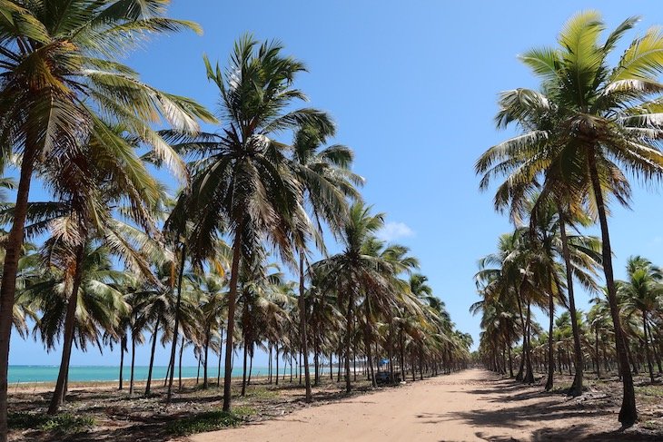 Passeio de buggy em Porto de Galinhas - Brasil © Viaje Comigo