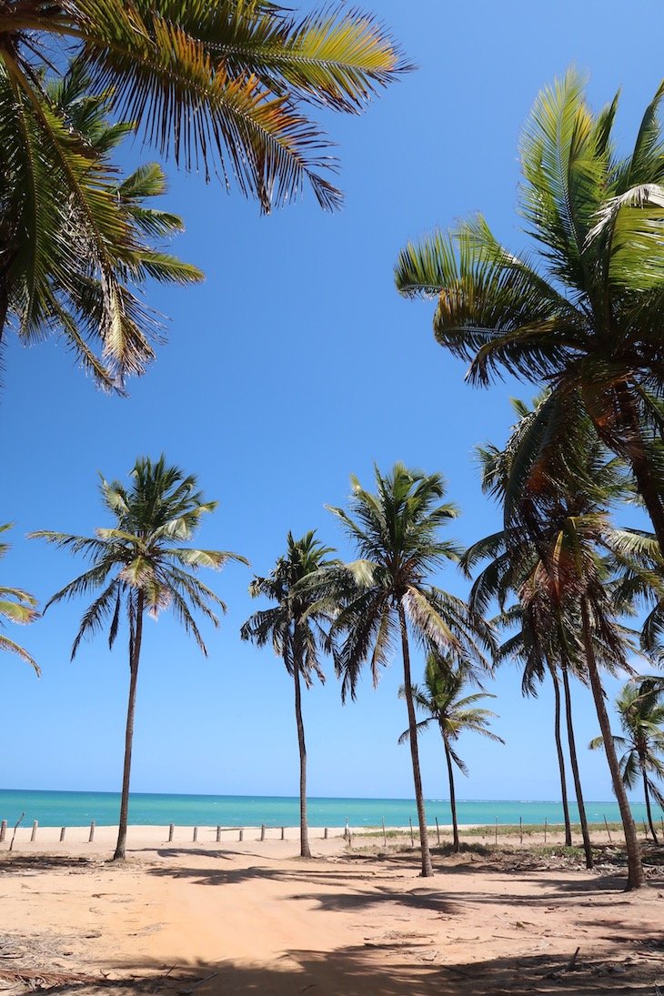 Passeio de buggy em Porto de Galinhas - Brasil © Viaje Comigo