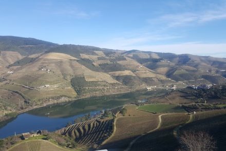 Douro - Tabuaço © Viaje Comigo