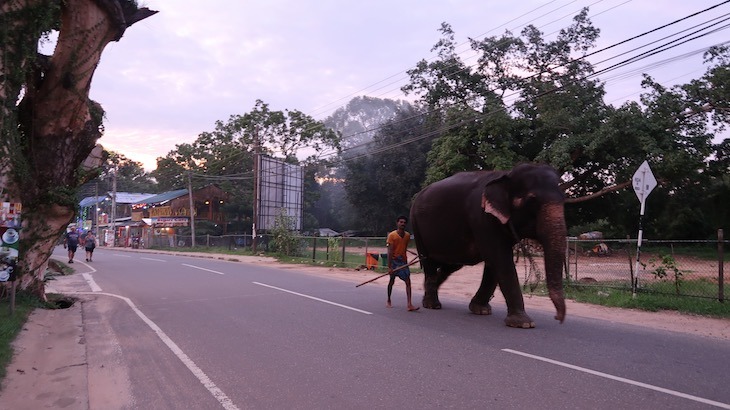 Zinc Journey Sigiriya - Sri Lanka © Viaje Comigo